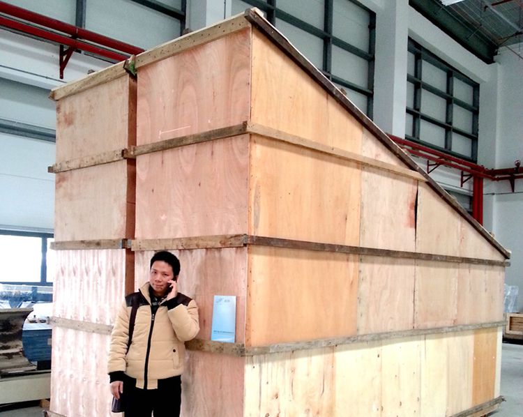 1561379715473538.jpg 特百惠上料金檢機包裝.jpg